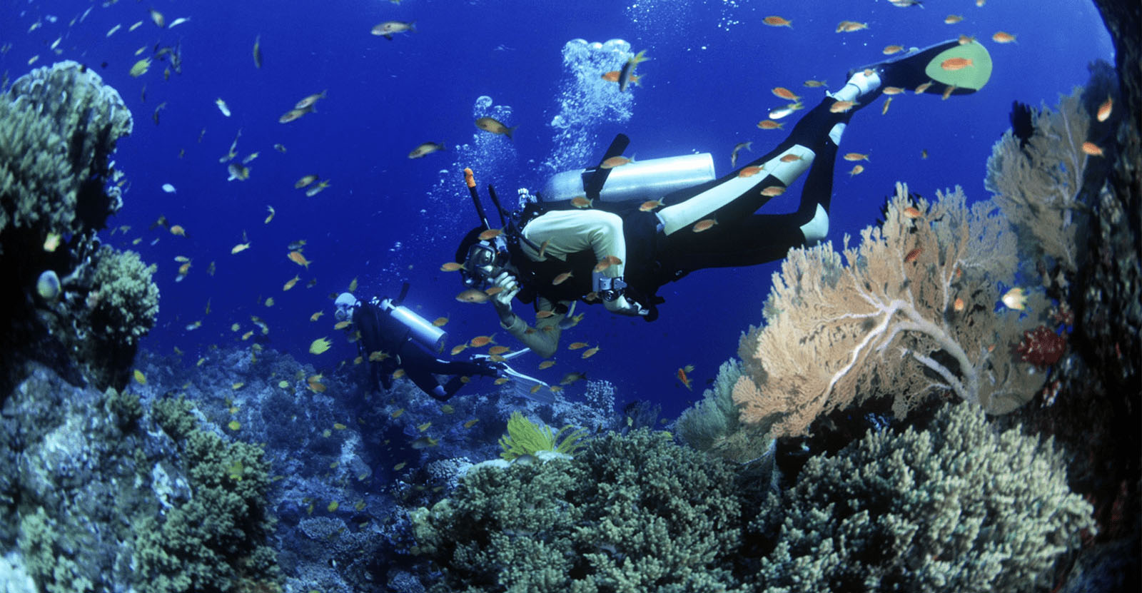 Cham Island – Diving Daily Tour