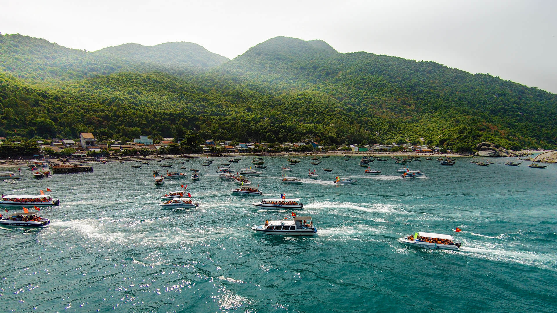 Cham Island – Snorkeling Daily Tour